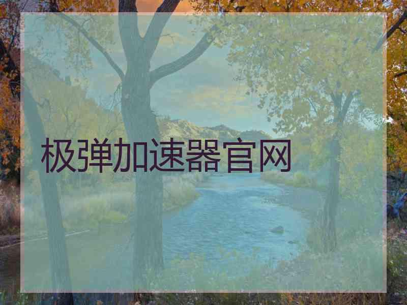 极弹加速器官网