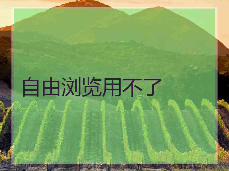 自由浏览用不了