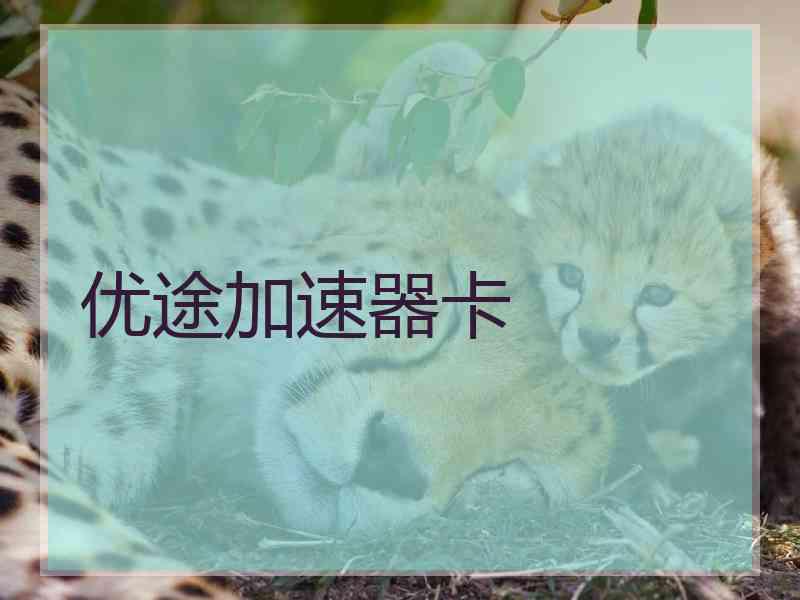 优途加速器卡