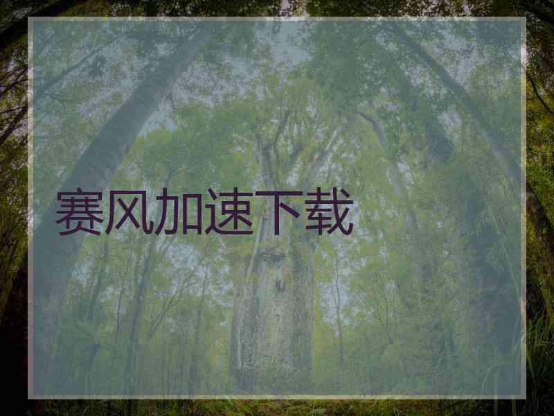 赛风加速下载