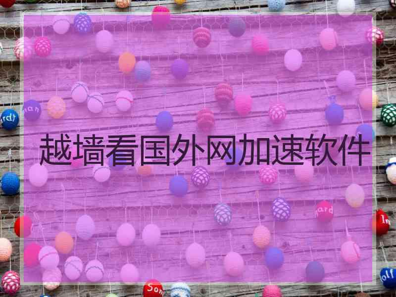越墙看国外网加速软件